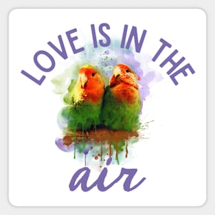 Lovebirds Love Is In The Air Agapornis Magnet